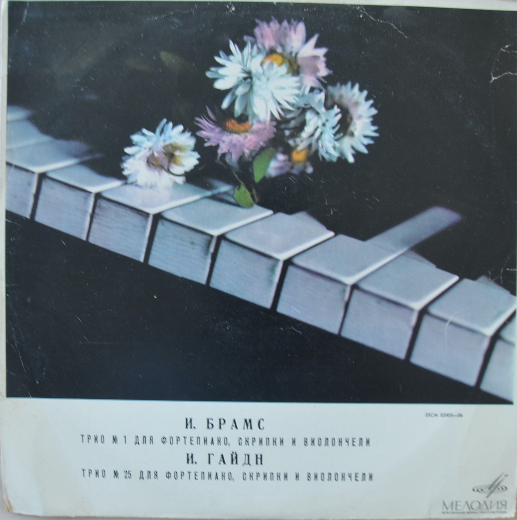 Brahms / Haydn — Piano Trios