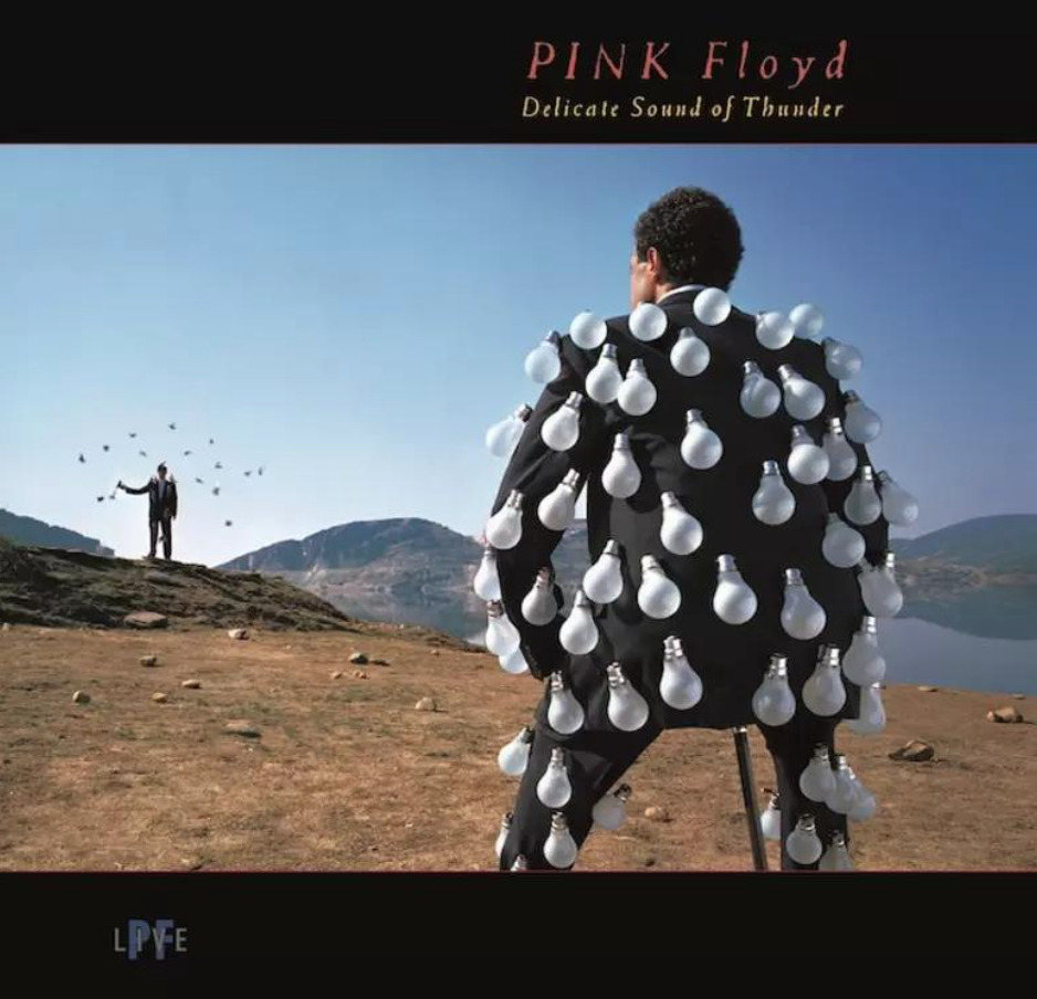 Pink Floyd — Delicate Sound of Thunder